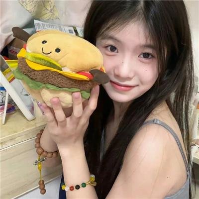 侵入者