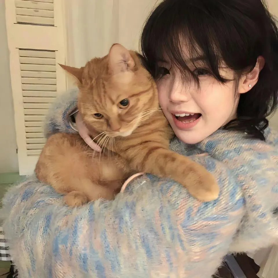 猛虎过山