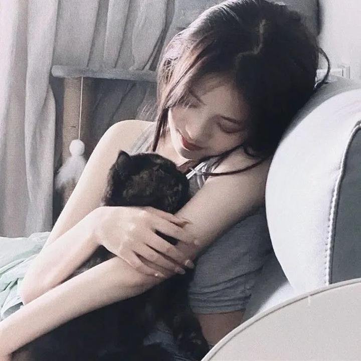 太空熊猫历险记